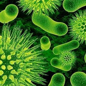 toxinas, presentes en plantas carnívoras?