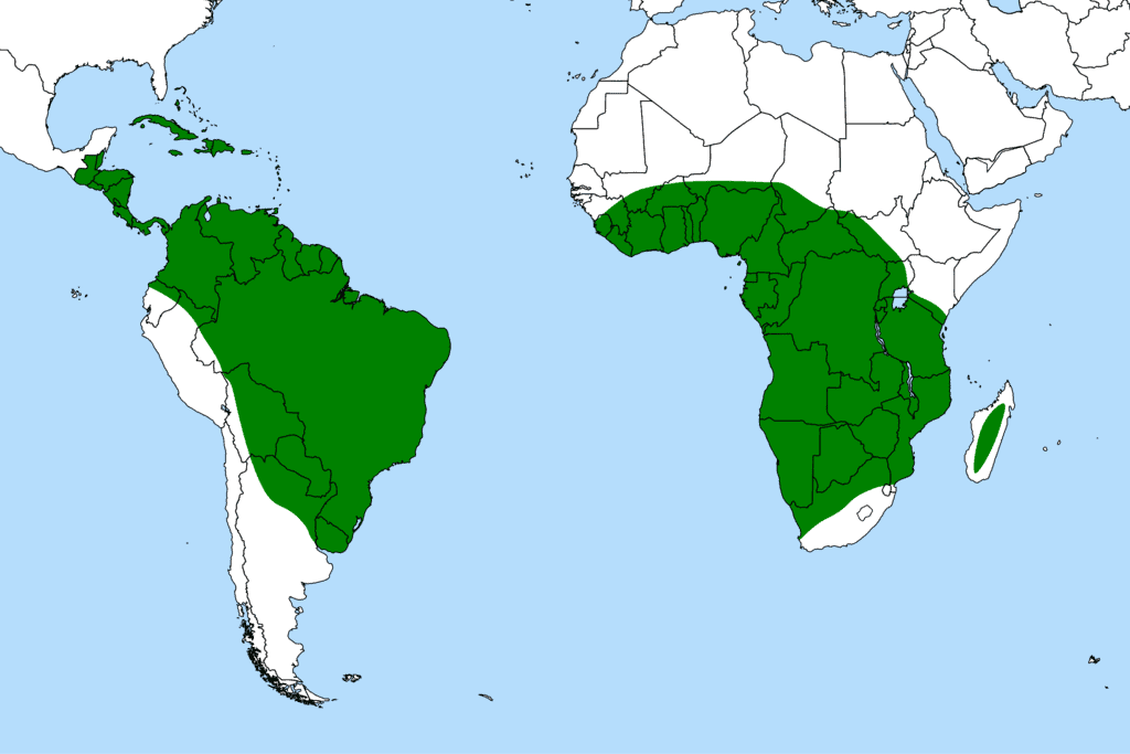 Distribucion Genlisea en el mundo